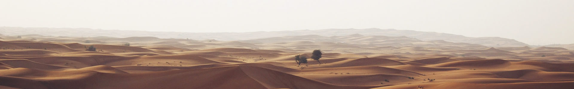 ϻũҵƼ޹˾